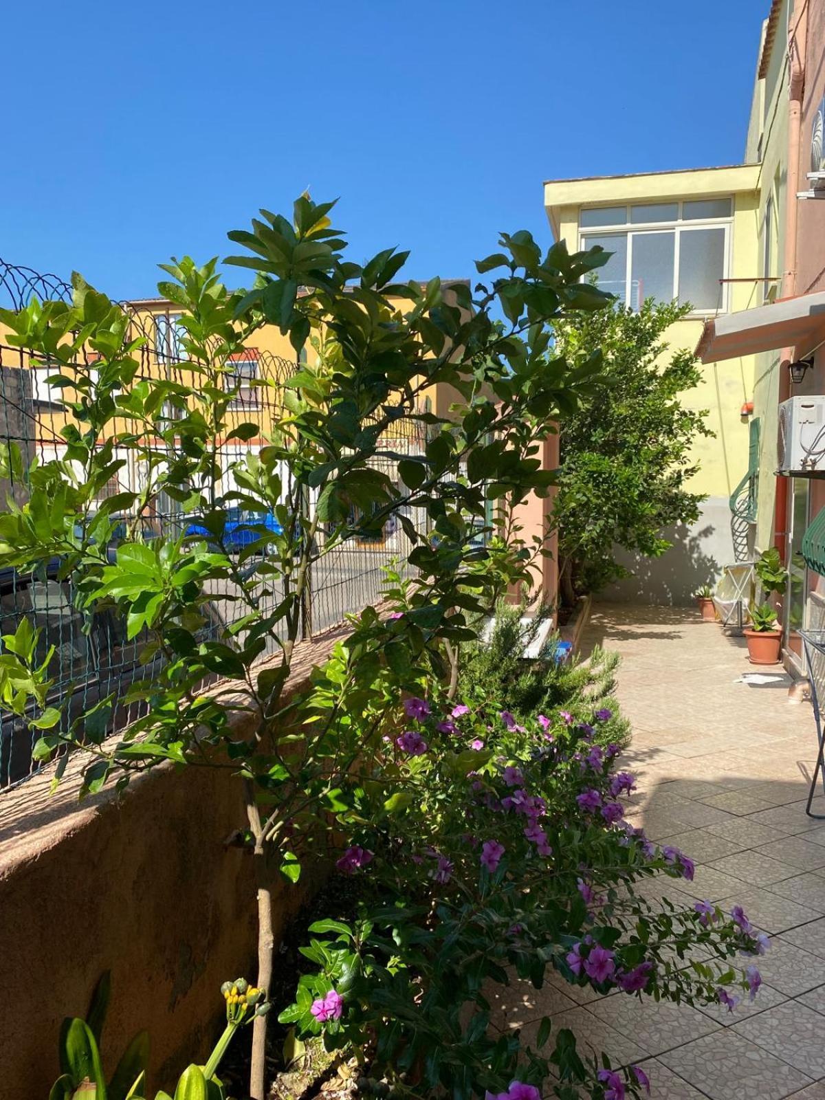 Appartement Lemon House à Sassari Extérieur photo